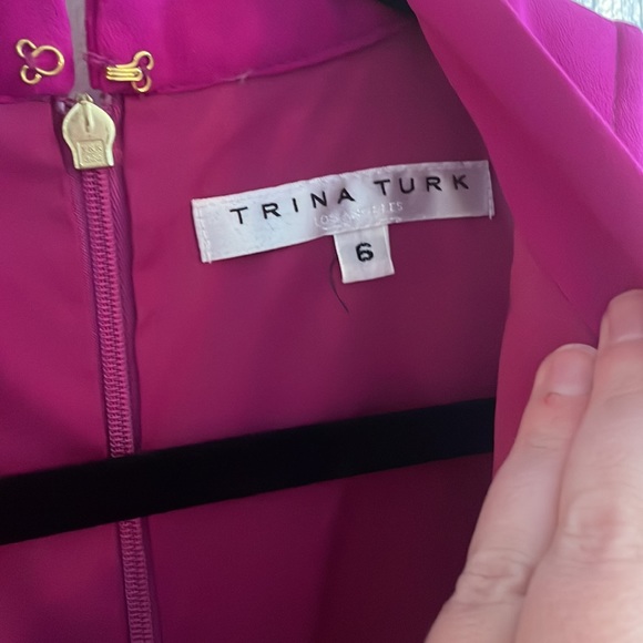 Fuchsia - Picture 2 of 5